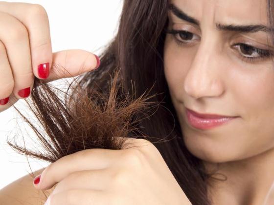 Best solutions for Damaged, Dry Hair with specific hair shampoos